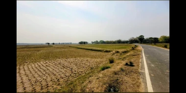 10.65 Acres Land for sale in Kuldiha, Durgapur.-CT69190-Im3517